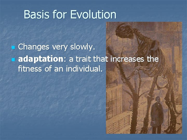 Basis for Evolution n n Changes very slowly. adaptation: a trait that increases the