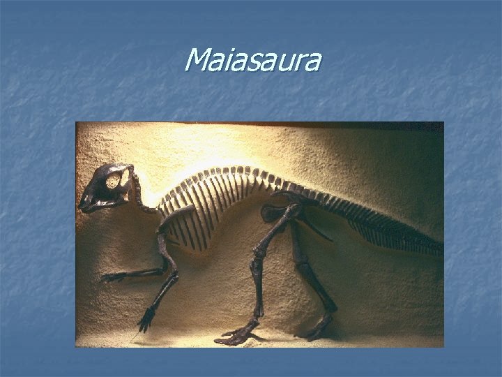 Maiasaura 