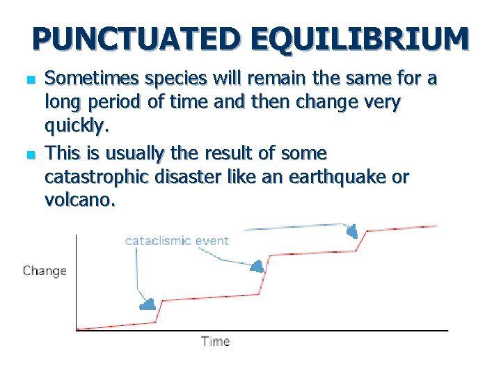 PUNCTUATED EQUILIBRIUM n n Sometimes species will remain the same for a long period