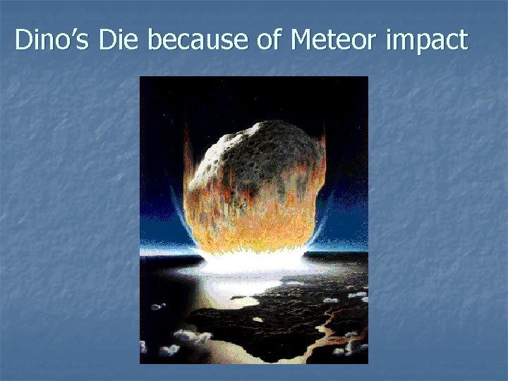Dino’s Die because of Meteor impact 
