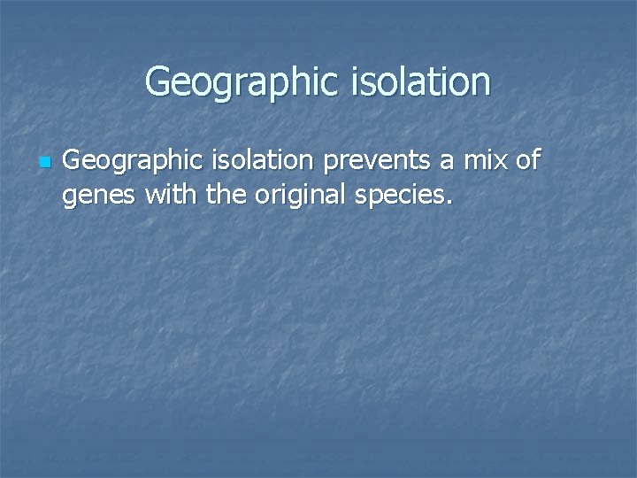 Geographic isolation n Geographic isolation prevents a mix of genes with the original species.