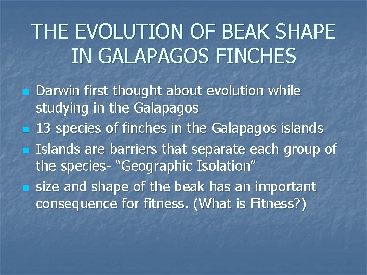 THE EVOLUTION OF BEAK SHAPE IN GALAPAGOS FINCHES n n Darwin first thought about