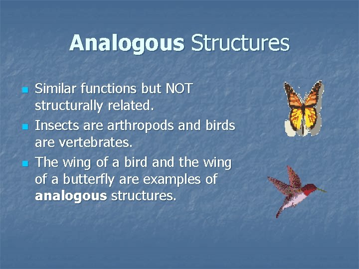 Analogous Structures n n n Similar functions but NOT structurally related. Insects are arthropods