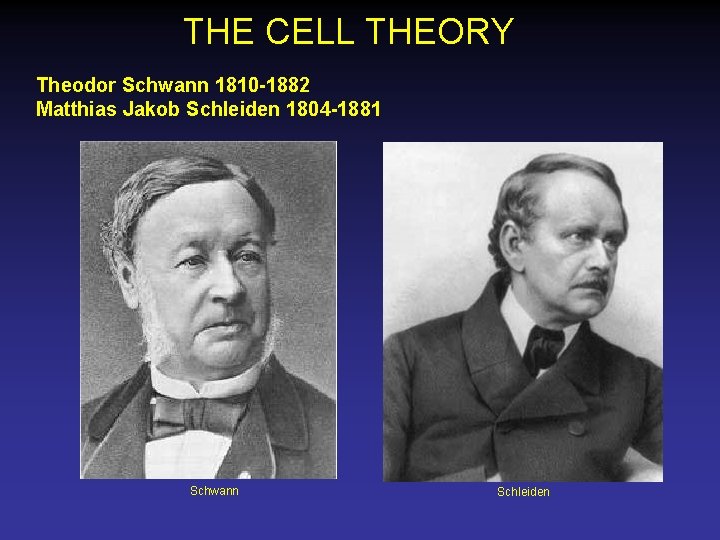 THE CELL THEORY Theodor Schwann 1810 -1882 Matthias Jakob Schleiden 1804 -1881 Schwann Schleiden