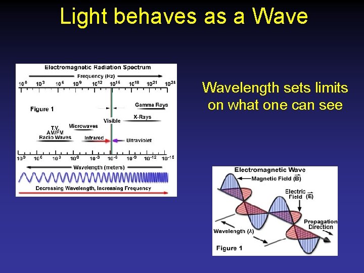 Light behaves as a Wavelength sets limits on what one can see 