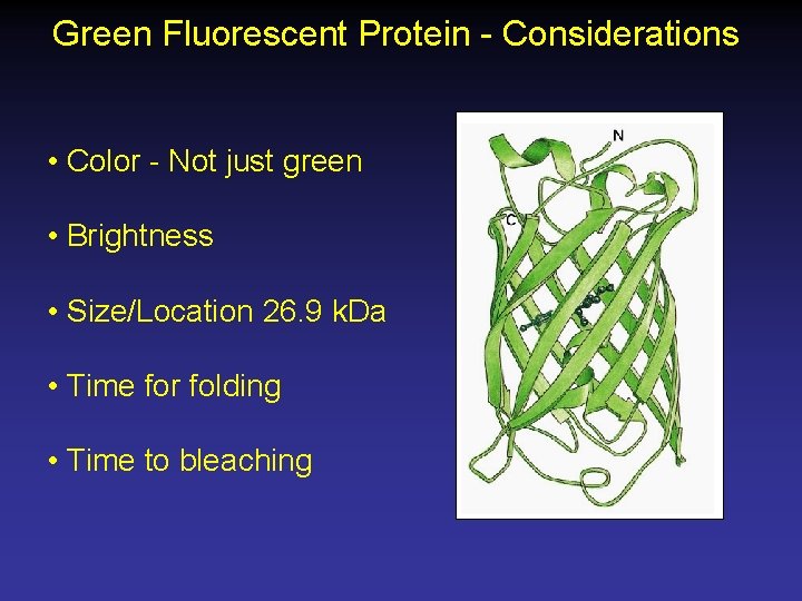 Green Fluorescent Protein - Considerations • Color - Not just green • Brightness •