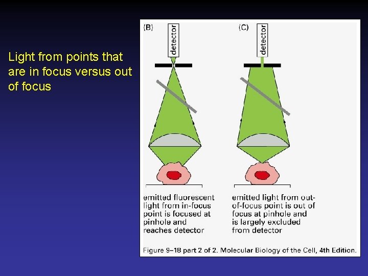 Light from points that are in focus versus out of focus 