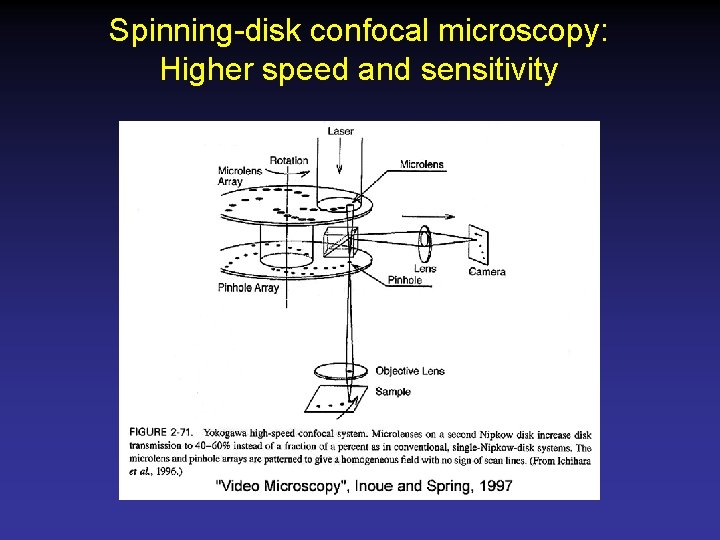 Spinning-disk confocal microscopy: Higher speed and sensitivity 