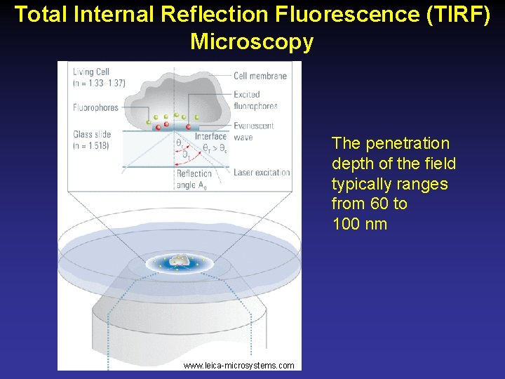 Total Internal Reflection Fluorescence (TIRF) Microscopy The penetration depth of the field typically ranges