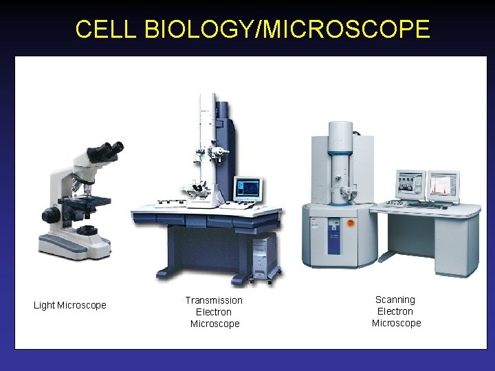 CELL BIOLOGY/MICROSCOPE Light Microscope Transmission Electron Microscope Scanning Electron Microscope 