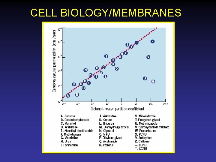 CELL BIOLOGY/MEMBRANES 