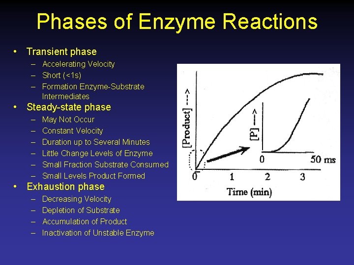 Phases of Enzyme Reactions • Transient phase – Accelerating Velocity – Short (<1 s)