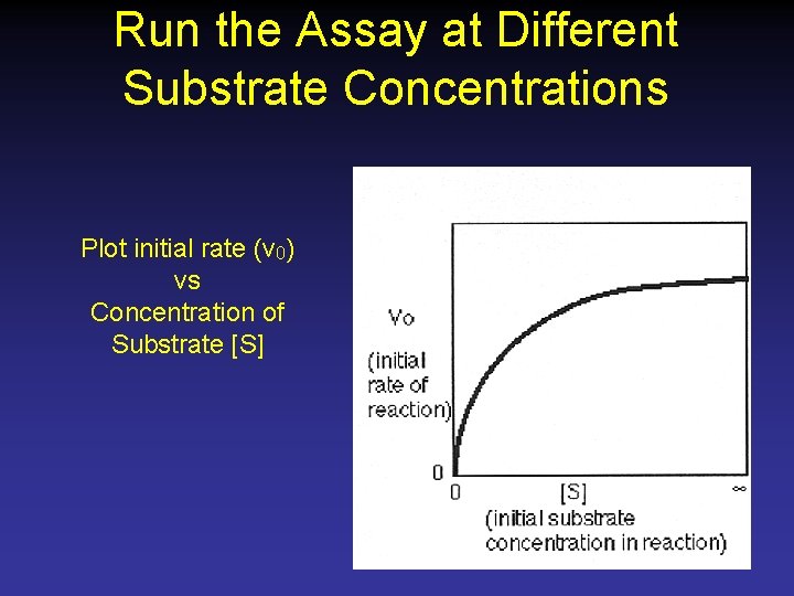 Run the Assay at Different Substrate Concentrations Plot initial rate (v 0) vs Concentration