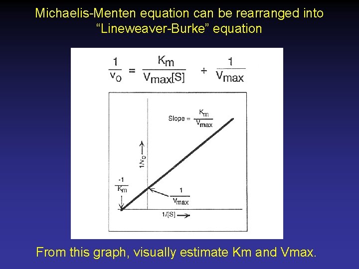 Michaelis-Menten equation can be rearranged into “Lineweaver-Burke” equation From this graph, visually estimate Km