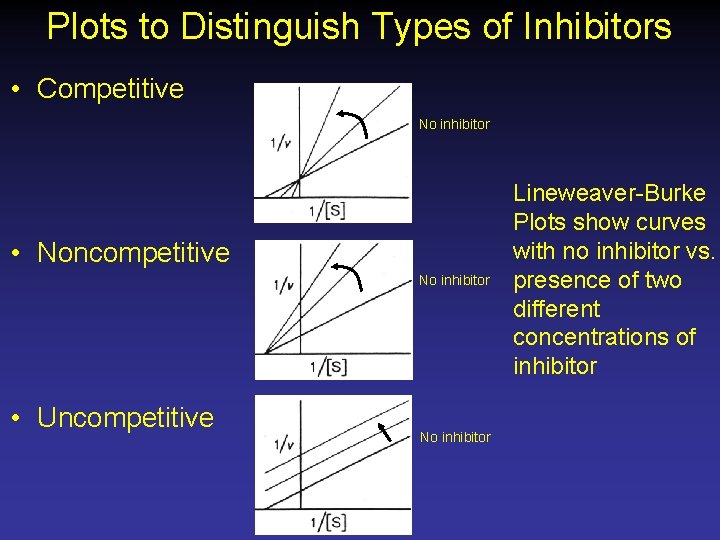 Plots to Distinguish Types of Inhibitors • Competitive No inhibitor • Noncompetitive No inhibitor