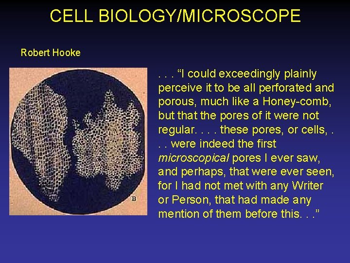 CELL BIOLOGY/MICROSCOPE Robert Hooke . . . “I could exceedingly plainly perceive it to