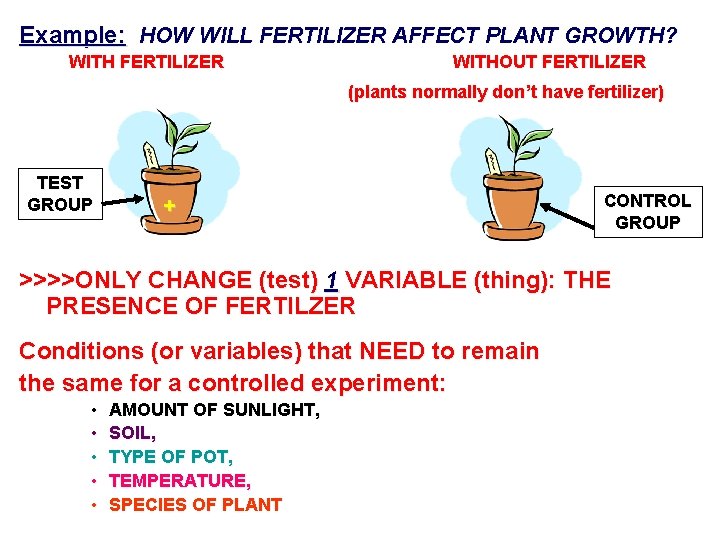 Example: HOW WILL FERTILIZER AFFECT PLANT GROWTH? WITH FERTILIZER WITHOUT FERTILIZER (plants normally don