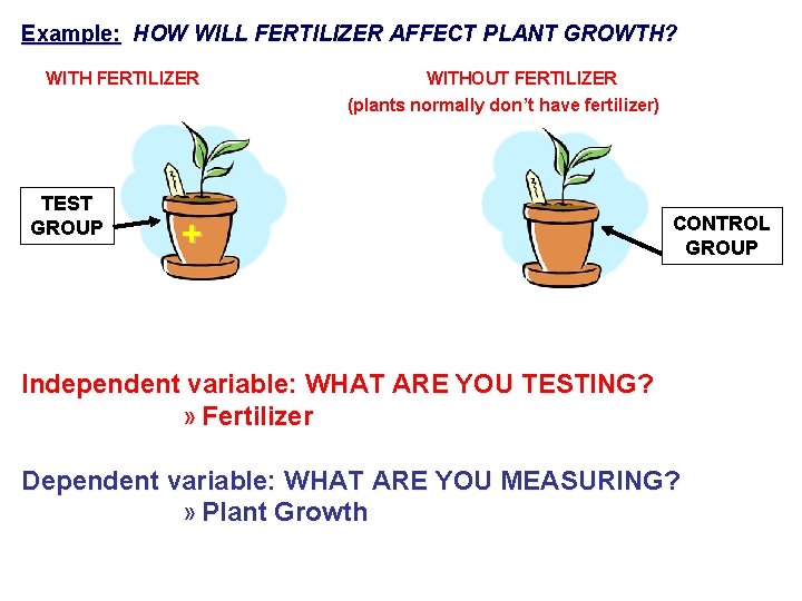 Example: HOW WILL FERTILIZER AFFECT PLANT GROWTH? WITH FERTILIZER TEST GROUP WITHOUT FERTILIZER (plants