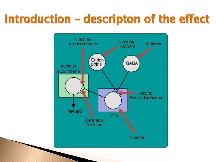 Introduction – descripton of the effect 