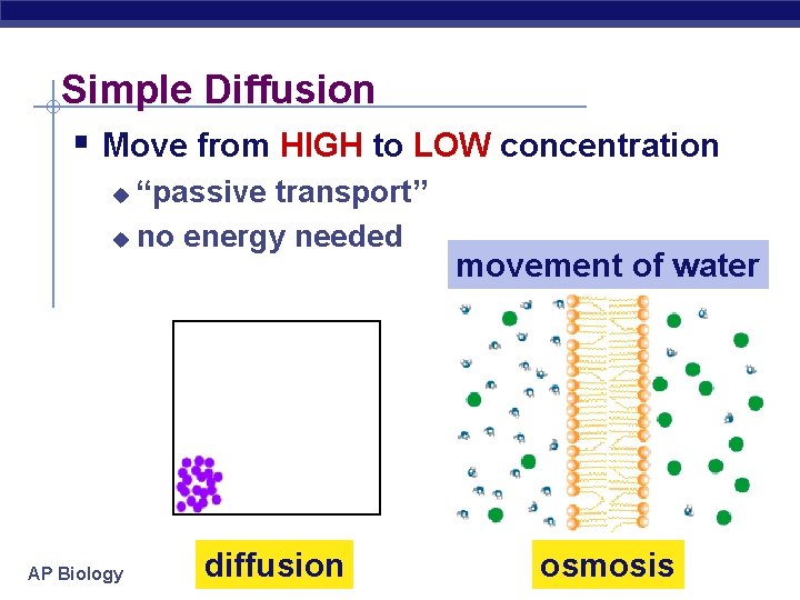 Simple Diffusion § Move from HIGH to LOW concentration “passive transport” u no energy