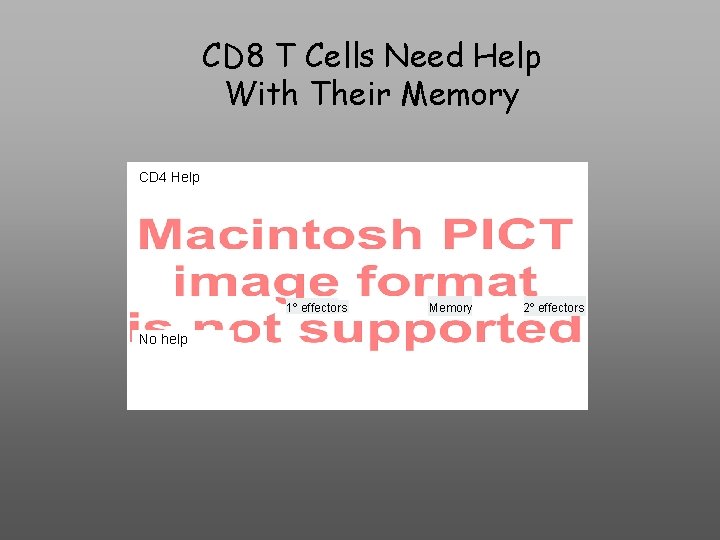 CD 8 T Cells Need Help With Their Memory CD 4 Help 1º effectors