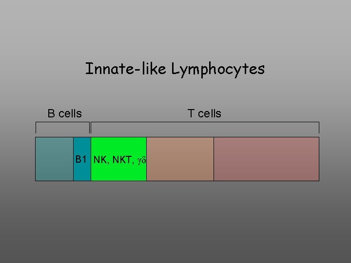 Innate-like Lymphocytes B cells B 1 NK, NKT, gd T cells 