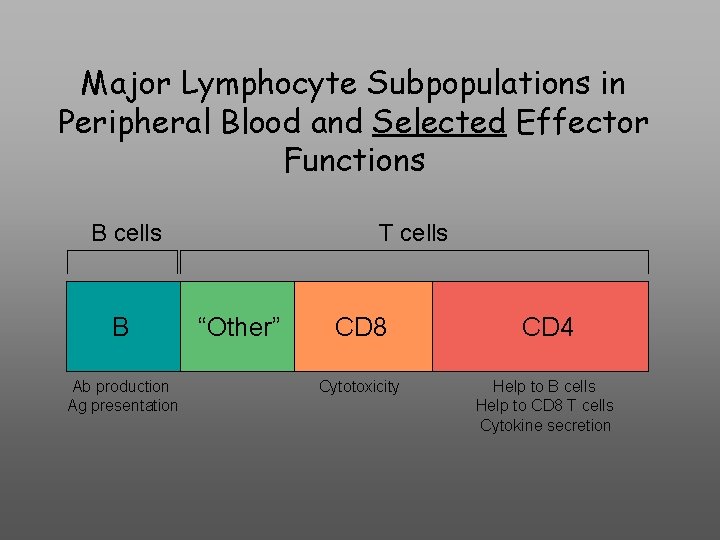 Major Lymphocyte Subpopulations in Peripheral Blood and Selected Effector Functions B cells B Ab