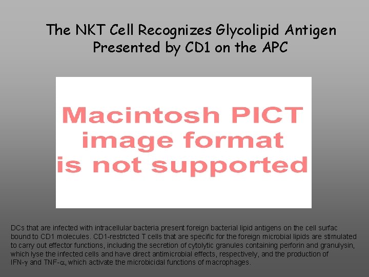 The NKT Cell Recognizes Glycolipid Antigen Presented by CD 1 on the APC DCs