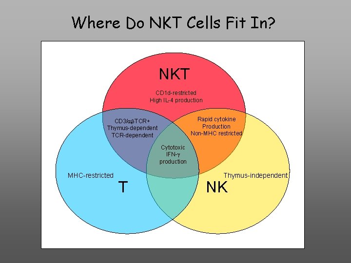 Where Do NKT Cells Fit In? NKT CD 1 d-restricted High IL-4 production Rapid