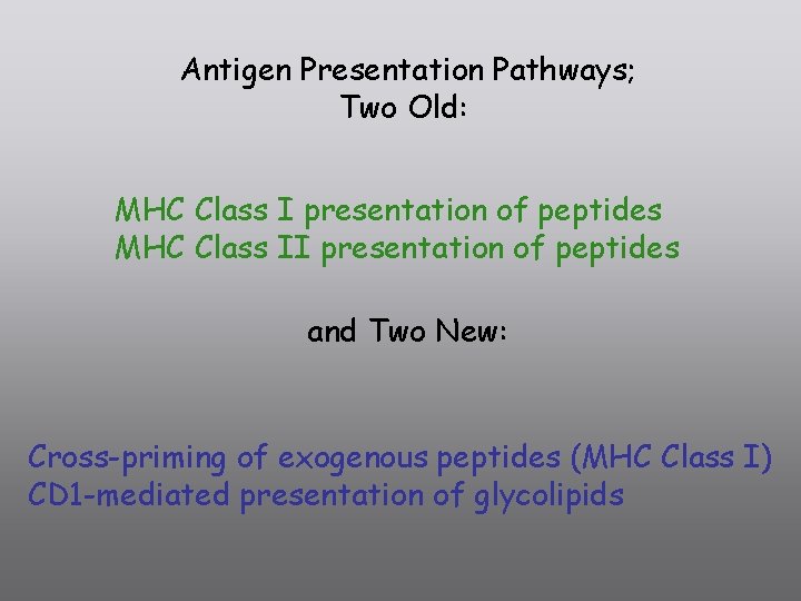 Antigen Presentation Pathways; Two Old: MHC Class I presentation of peptides MHC Class II