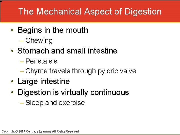 The Mechanical Aspect of Digestion • Begins in the mouth – Chewing • Stomach