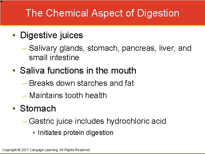 The Chemical Aspect of Digestion • Digestive juices – Salivary glands, stomach, pancreas, liver,