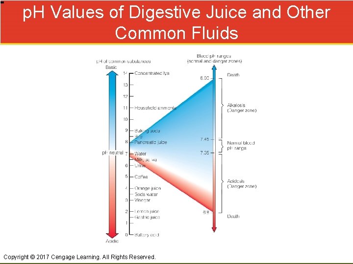p. H Values of Digestive Juice and Other Common Fluids Copyright © 2017 Cengage
