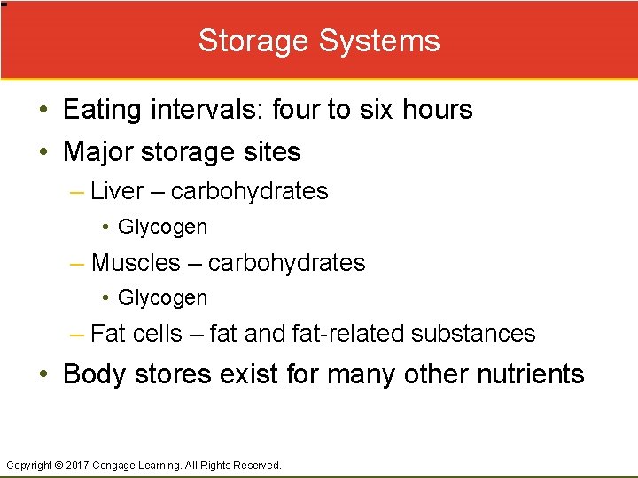Storage Systems • Eating intervals: four to six hours • Major storage sites –