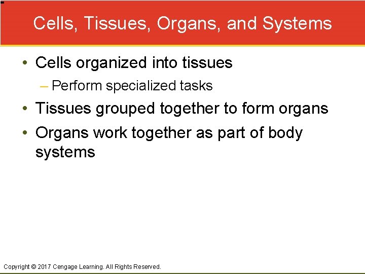 Cells, Tissues, Organs, and Systems • Cells organized into tissues – Perform specialized tasks