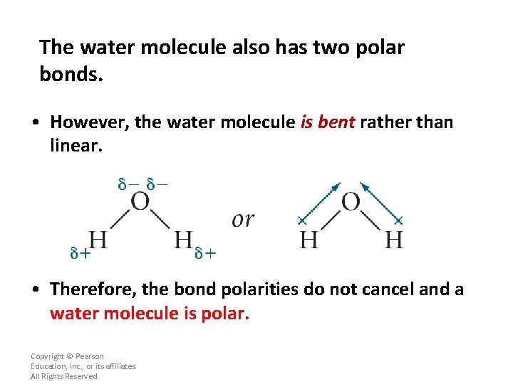 The water molecule also has two polar bonds. • However, the water molecule is