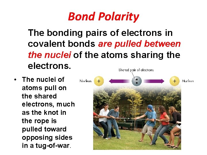 Bond Polarity The bonding pairs of electrons in covalent bonds are pulled between the
