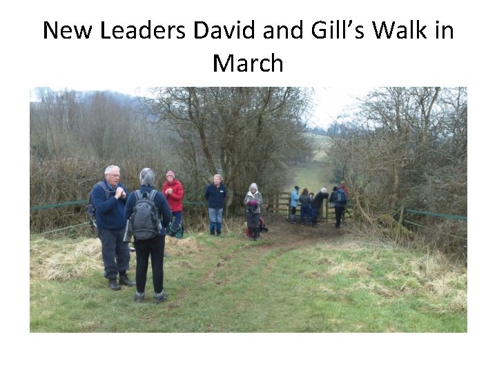 New Leaders David and Gill’s Walk in March 