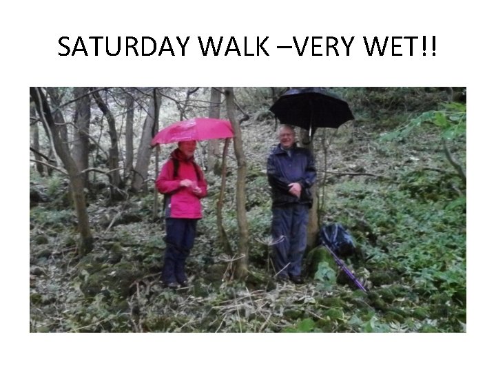 SATURDAY WALK –VERY WET!! 