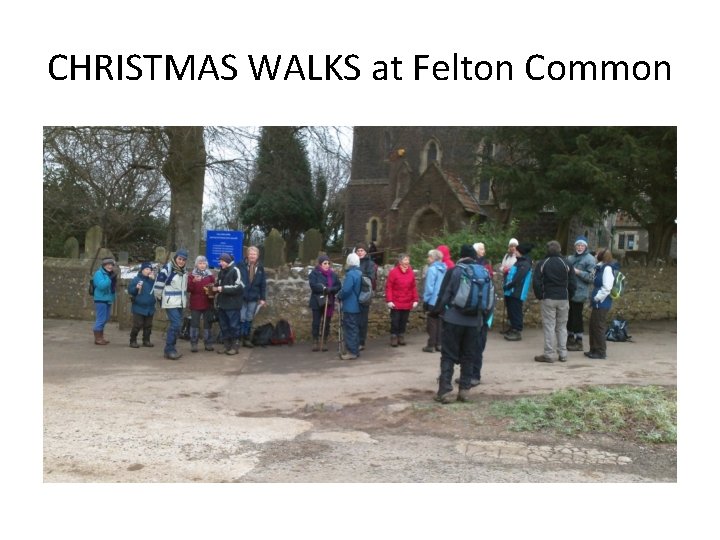CHRISTMAS WALKS at Felton Common 