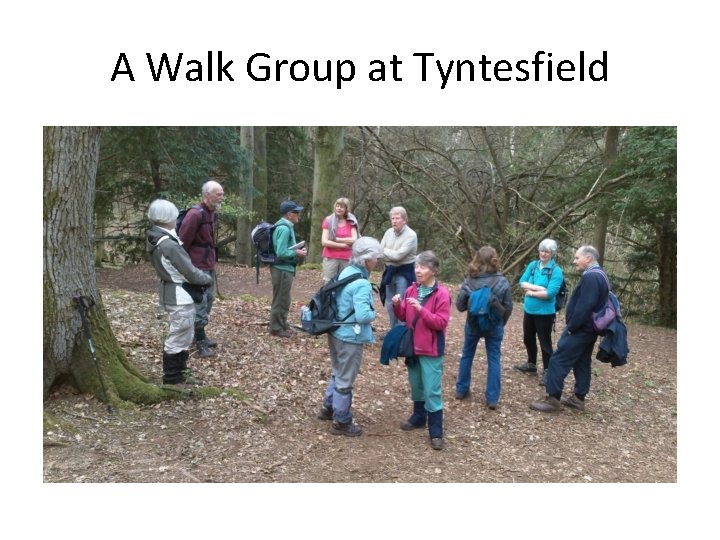 A Walk Group at Tyntesfield 