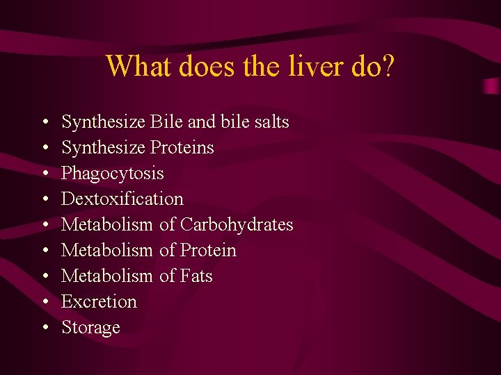 What does the liver do? • • • Synthesize Bile and bile salts Synthesize