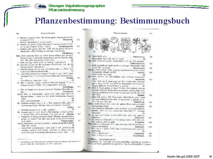 Übungen Vegetationsgeographie: Pflanzenbestimmung: Bestimmungsbuch Martin Mergili 2006 -2007 16 