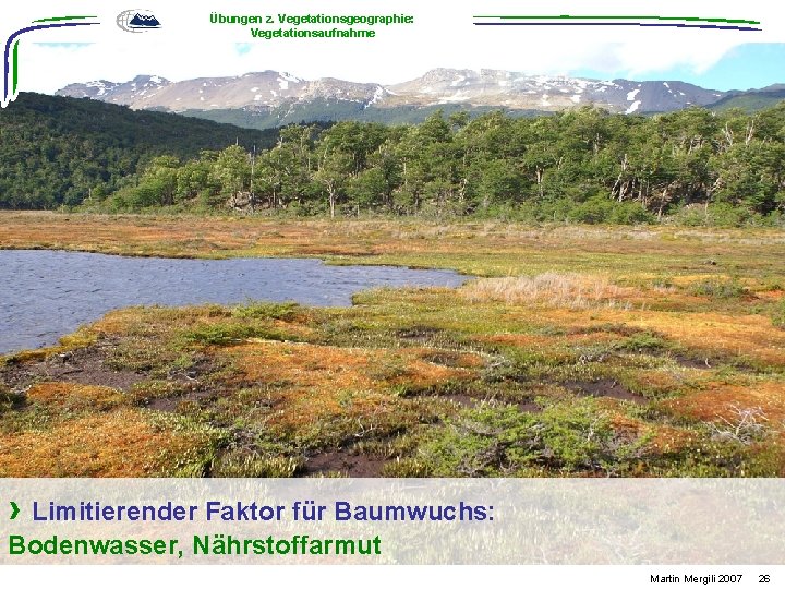 Übungen z. Vegetationsgeographie: Vegetationsaufnahme › Limitierender Faktor für Baumwuchs: Bodenwasser, Nährstoffarmut Martin Mergili 2007