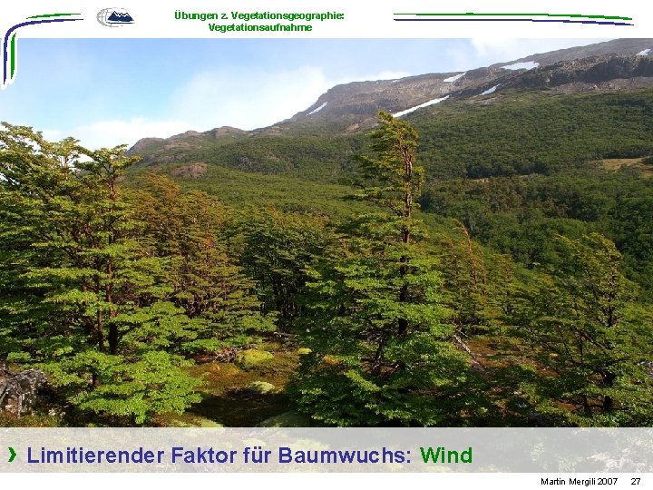 Übungen z. Vegetationsgeographie: Vegetationsaufnahme › Limitierender Faktor für Baumwuchs: Wind Martin Mergili 2007 27