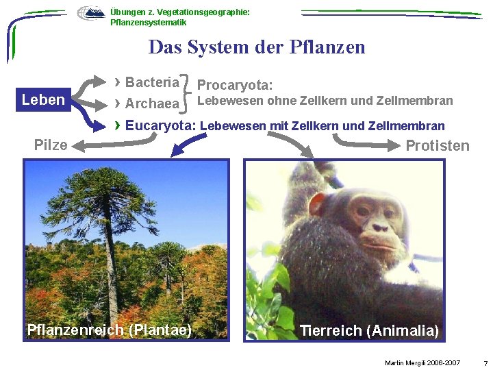 Übungen z. Vegetationsgeographie: Pflanzensystematik Das System der Pflanzen Leben › Bacteria Procaryota: › Archaea