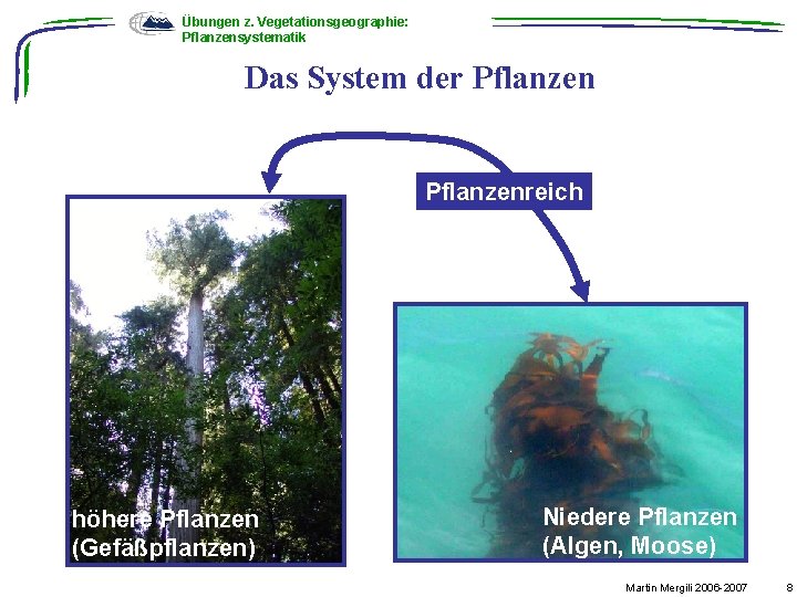 Übungen z. Vegetationsgeographie: Pflanzensystematik Das System der Pflanzenreich höhere Pflanzen (Gefäßpflanzen) Niedere Pflanzen (Algen,