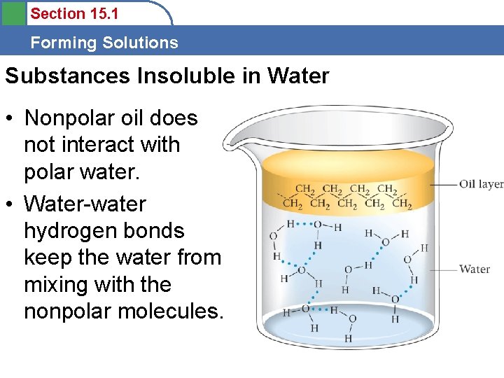 Section 15. 1 Forming Solutions Substances Insoluble in Water • Nonpolar oil does not