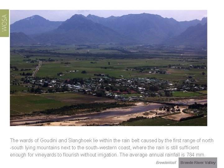 The wards of Goudini and Slanghoek lie within the rain belt caused by the