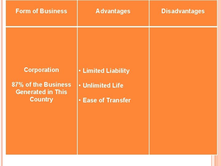  Form of Business Advantages Corporation • Limited Liability 87% of the Business •